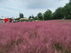 -汉长安城未央宫国家考古遗址公园