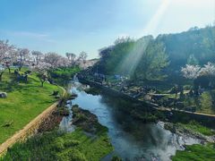 -羊山湖公园