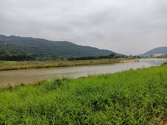 -艾米稻香小镇