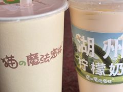 -猫的魔法密林(衣裳街店)