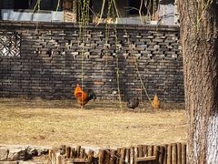 -三里河公园