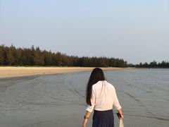 -东郊椰林