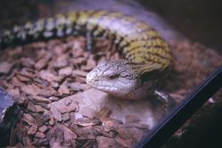 -酷嗒动物文化乐园(cutezoo西溪乐天城店)