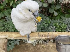 -南宫五洲植物乐园