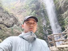 -莫里热带雨林景区
