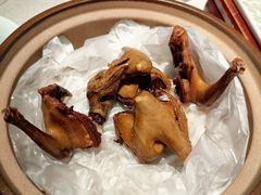 -大鸽饭(岗顶店)
