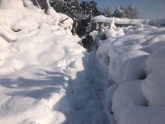 -东莞宠友24H宠物中心医院·转诊夜诊·异宠(新河北路院)