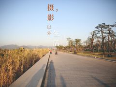 -芒洲湿地公园