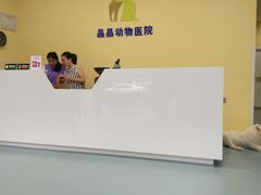 -瑞鹏宠物医院·爱宠堂·骨外专科(西荷分院)