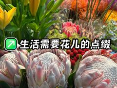 -吴山花鸟城-停车场