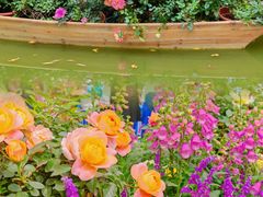 -人民公园(罗湖区)