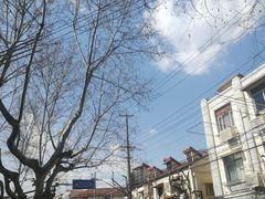 -宝岛眼镜公司(普育东路店)