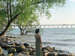 -宝安西湾红树林湿地公园