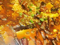 毛血旺-金春禧(世茂国际广场店)