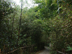 景点-水濂山森林公园