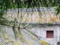 -潭柘寺景区