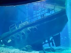 -福州罗源湾海洋世界旅游区