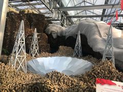 -兰陵国家农业公园