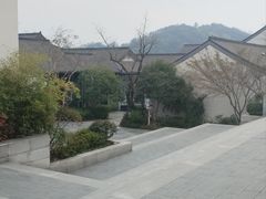 -春色如许·茶食餐厅(桃李春风店)