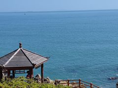 -杨梅坑