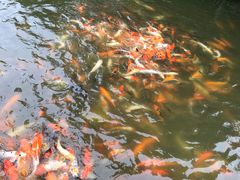 -厦门日月谷温泉渡假村