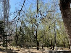 -元大都城垣遗址公园