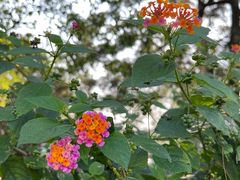 -白沙门生态公园