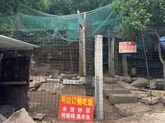-大岭沟猕猴桃谷风景区