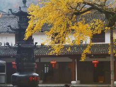 -溪口-滕头旅游景区