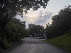 -深圳国际园林花卉博览园