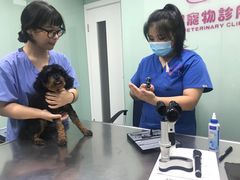 -哆趣宠物医院·眼科·内镜·急重症转诊中心(上海店)