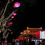 🏮大唐•多姿多彩，千姿百态，鼎盛的朝代🌟
