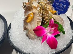 -海月轩海鲜豆捞(紫金塔店)