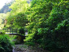 -夏霖九天银瀑风景区