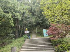 -上海佘山国家森林公园天马山园