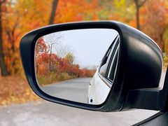 -苏家坨柳林村二月兰花海