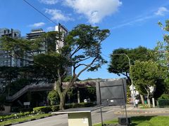 -板长寿司(ION店)