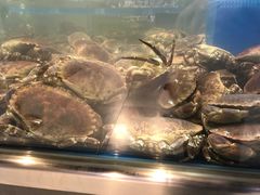-盒马鲜生(大成店)