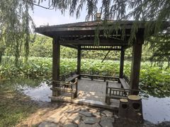 -同里国家湿地公园