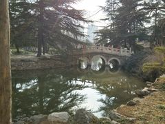 景点-西苑公园