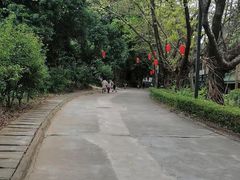-榴花公园