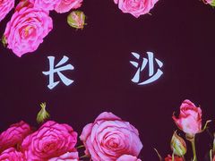 -黄兴南路步行商业街