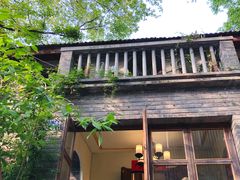 门面-两棵枇杷树