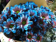 -ChaKo Flora ·茶子花艺 (市北店)