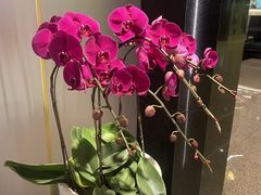 -广州花园酒店