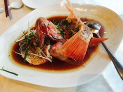 -河源万绿湖美思威尔顿酒店