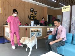 -爱妮康宠物医院·干细胞免疫细胞·肿瘤·心脏(张江店)