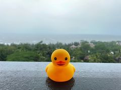 -海南棋子湾开元度假村·祺咖啡自助餐厅