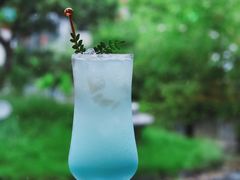 柠香甘蓝苏打-宴南庭·闽味私房菜