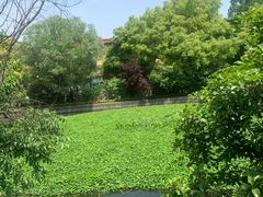 -南京钟山宾馆(江苏省会议中心)